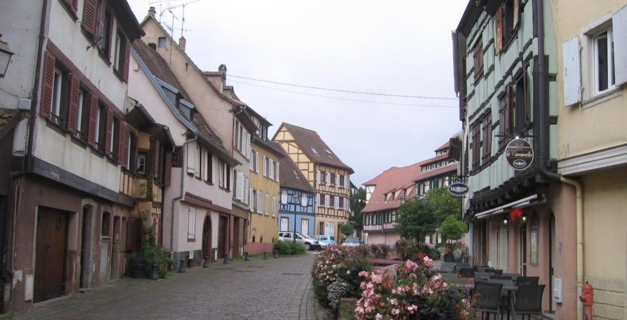 Apartmán Neuf Et Cosy A Barr, Route Des Vins Exteriér fotografie